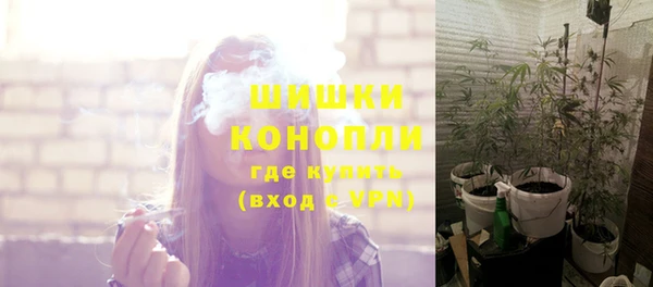 соль ск Богородицк