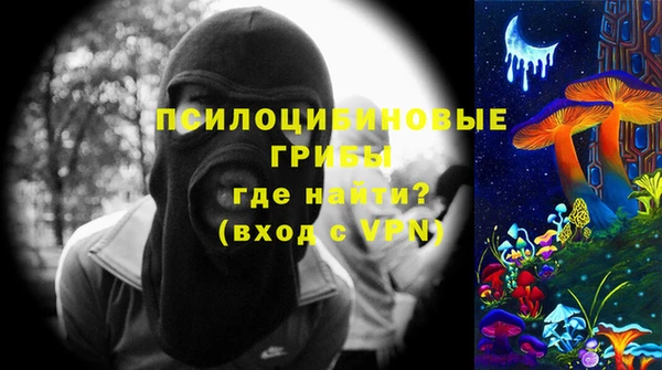 соль ск Богородицк