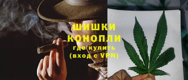 соль ск Богородицк